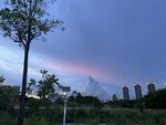 观澜湿地公园风景图