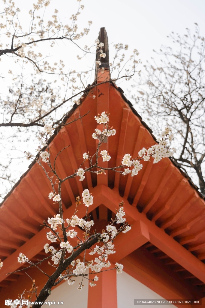 屋檐