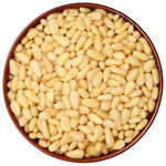 松子仁