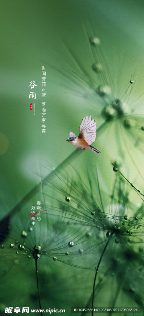 谷雨