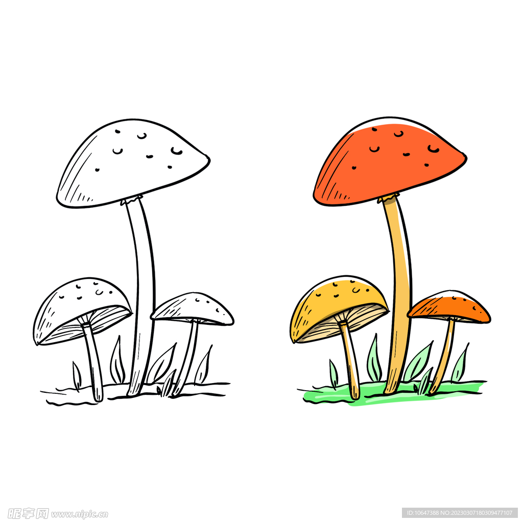 蘑菇