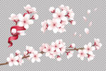 樱花素材