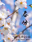 春分海报           