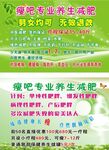 专业减肥