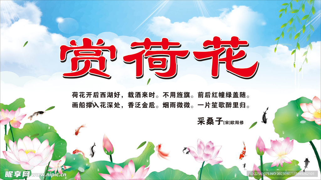 荷花背景