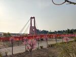 网红桥