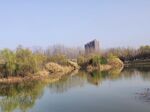 湿地公园