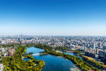 城市 公园