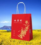牡丹饼手提袋展开图