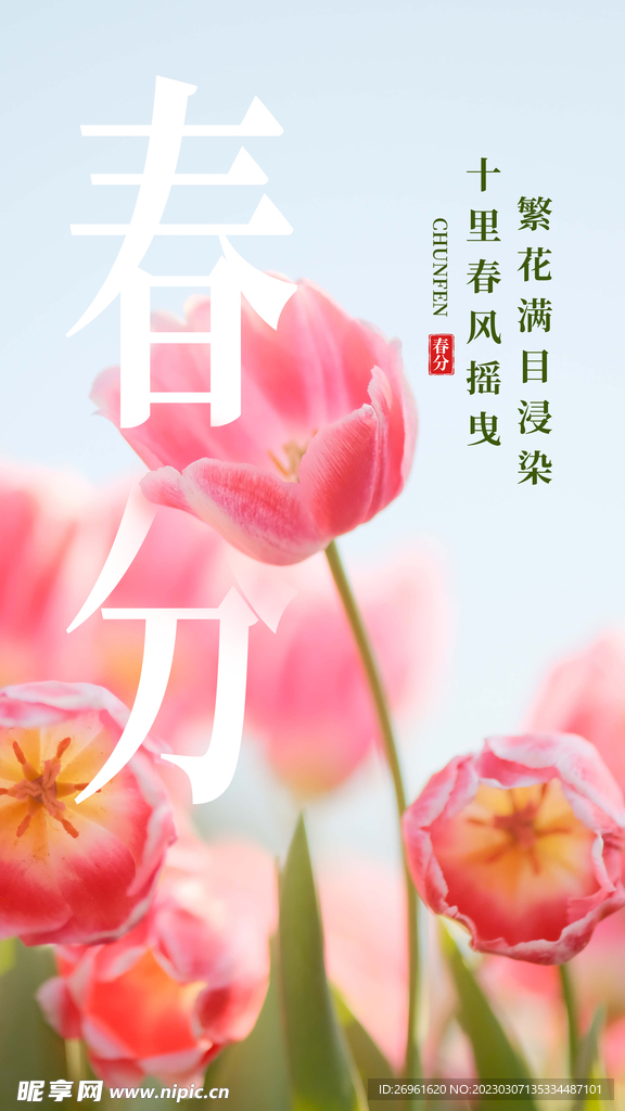 春分海报