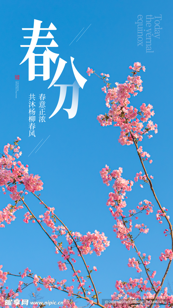 春分海报