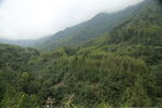 远山