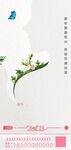 女神节