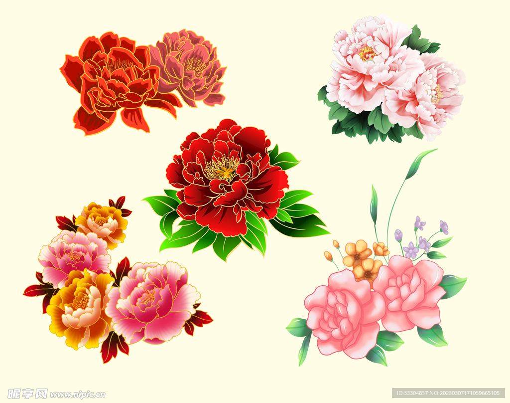 牡丹花素材