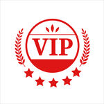 五星VIP会员图标设计