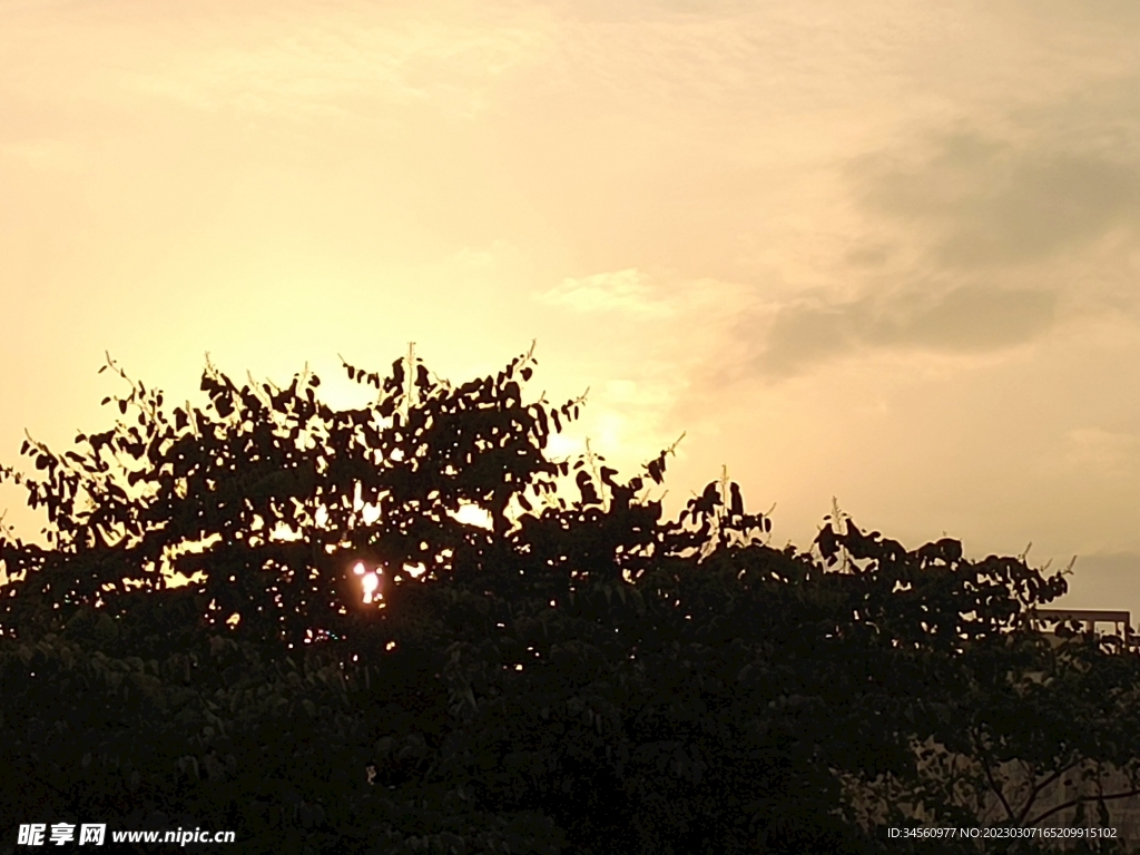 【原野、夕阳、树影摄影图片】风光摄影_一路顺风889_太平洋电脑网摄影部落