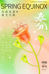 春分节气 