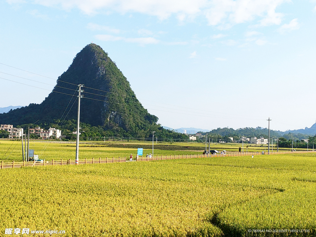 田野风光