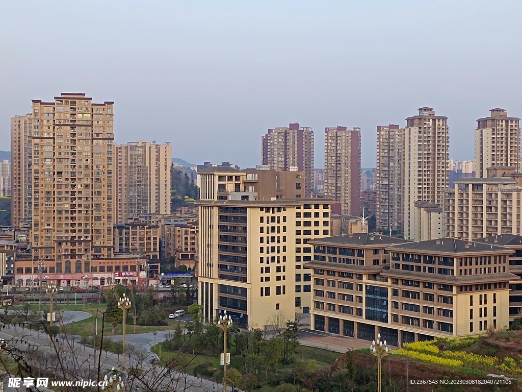 发展中城市