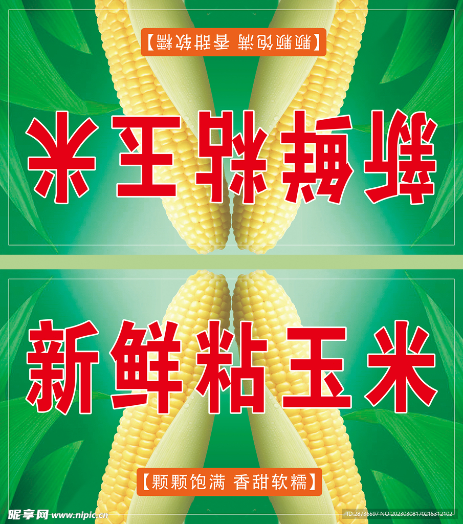 玉米