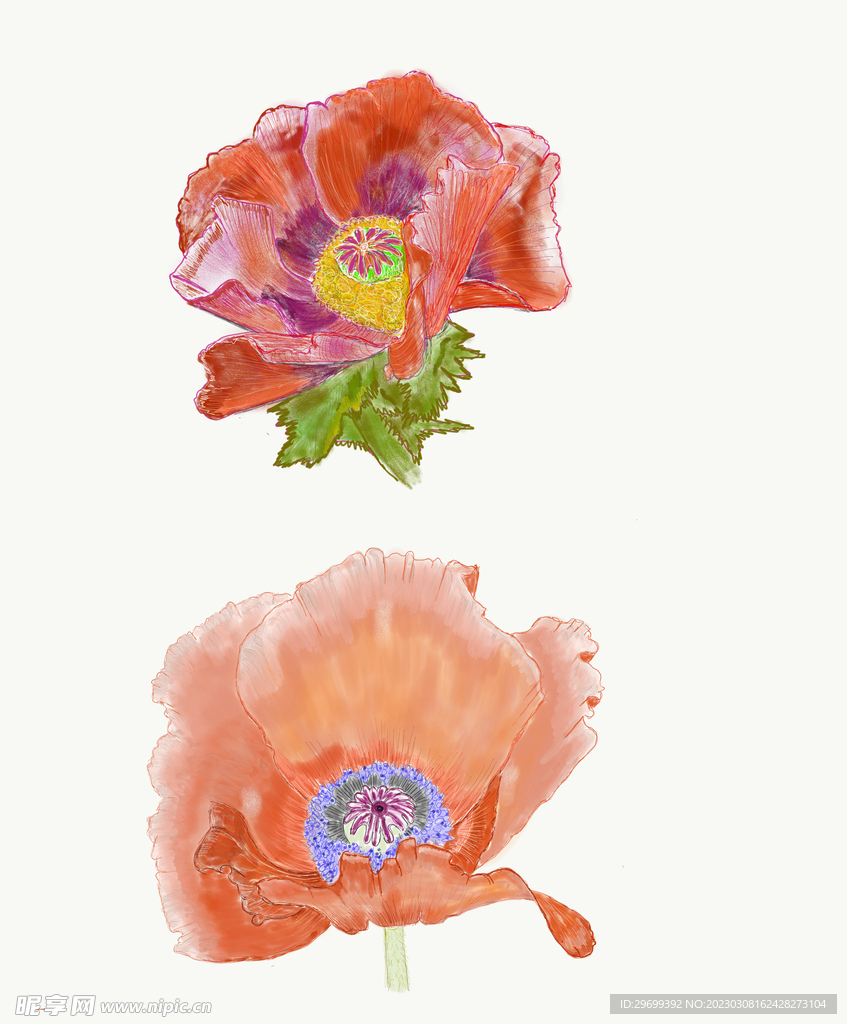 水彩花卉