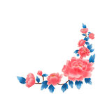 牡丹花