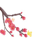 梅花