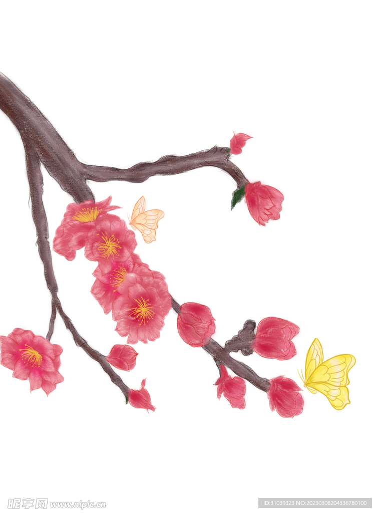 梅花