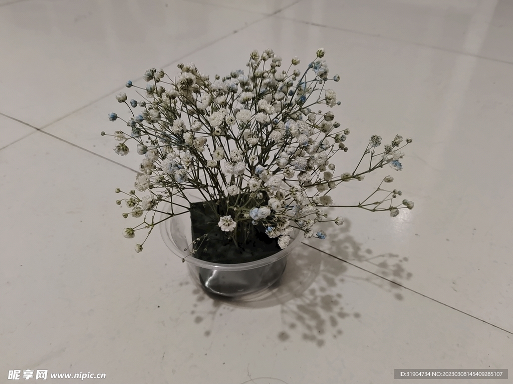 花4