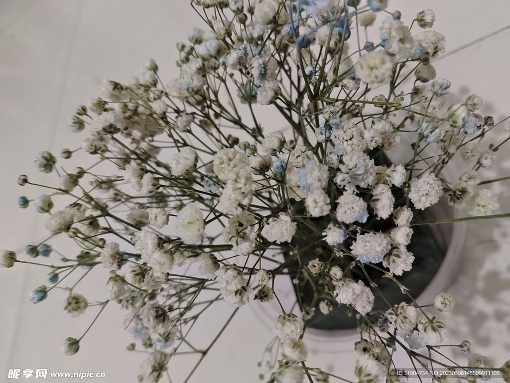 花