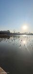 蓝天  湖面  水