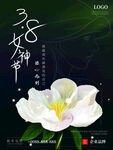 爱情女神节