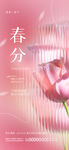 春分节气海报