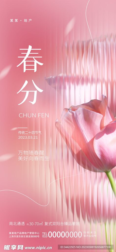春分节气海报
