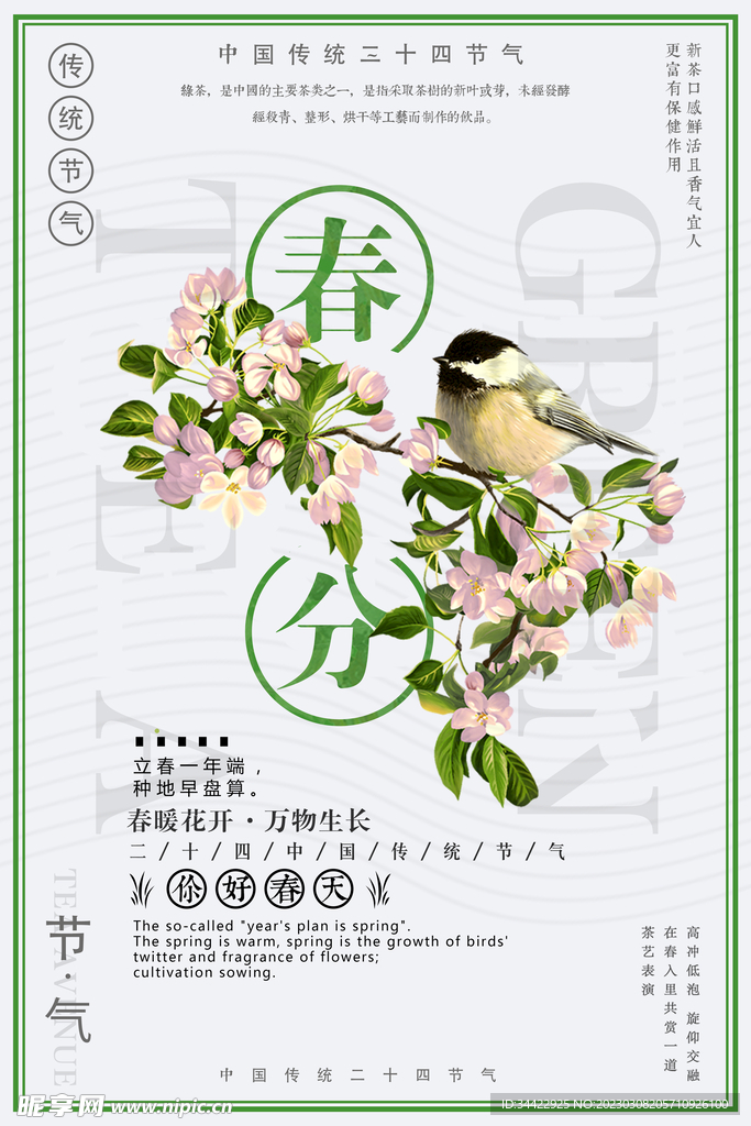 春分节气海报
