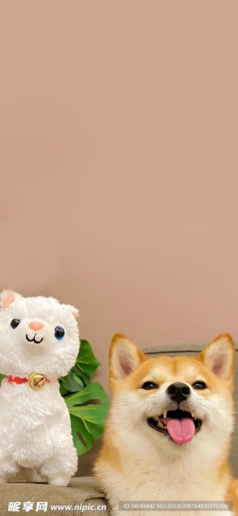 狗