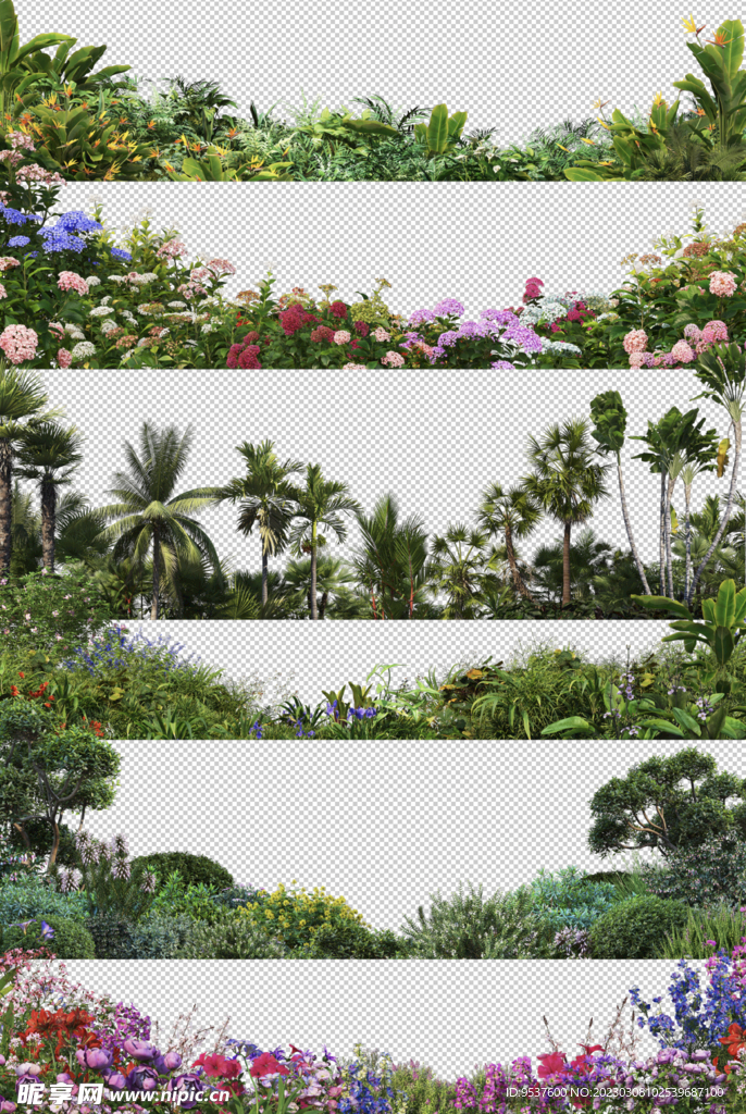 六款前景搭配园林植物花卉合集