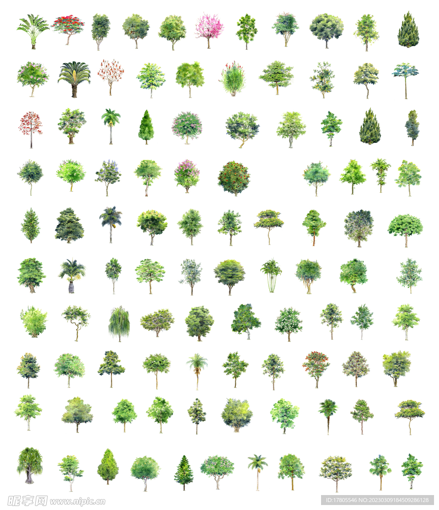 植树节海报  展板 保护环境 