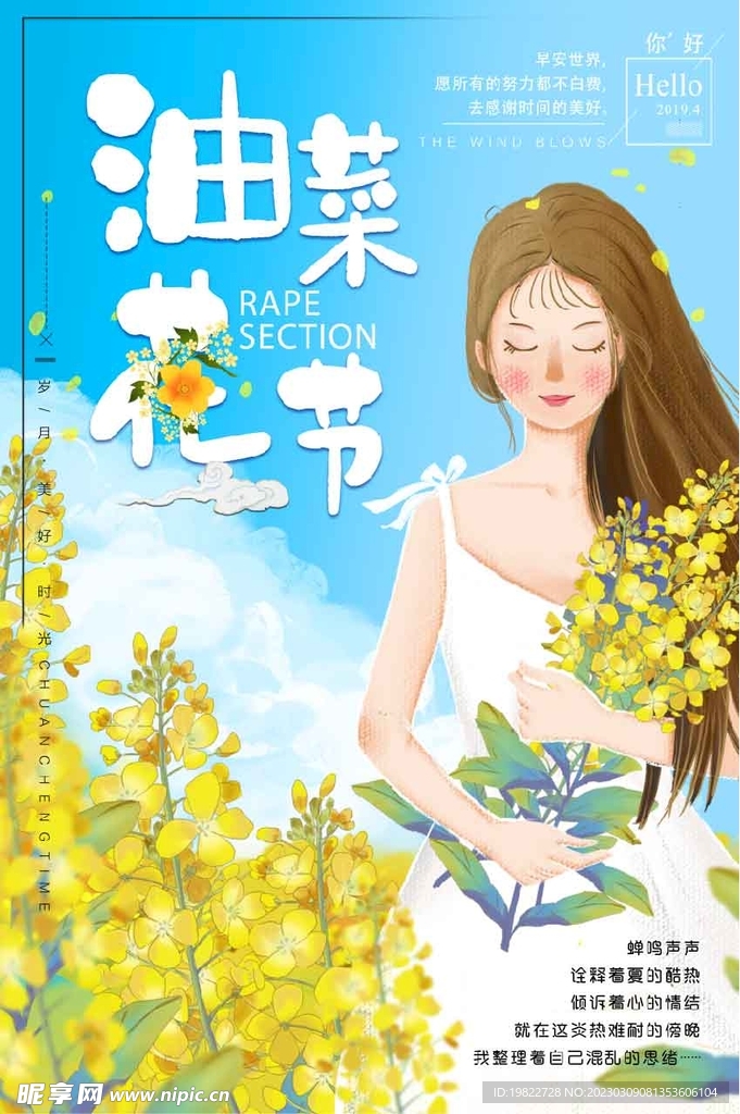 油菜花