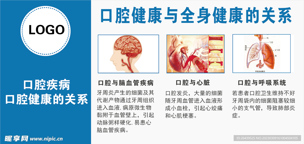 口腔健康与全身健康的关系图