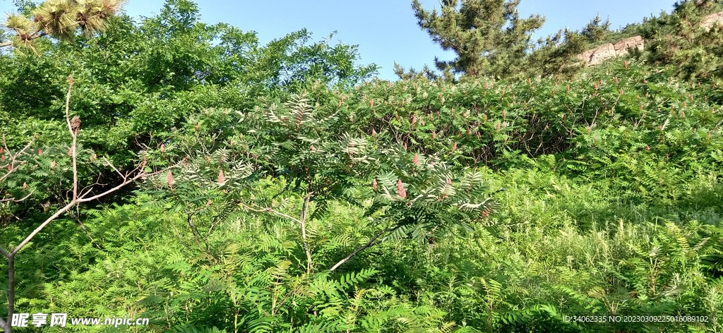 神秘的马山风景