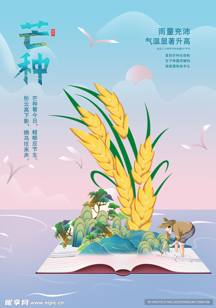 芒种