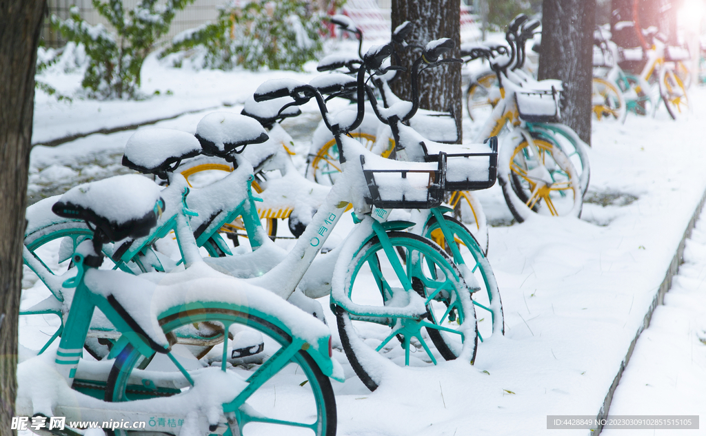 自行车白雪