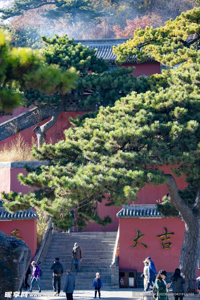妙峰山