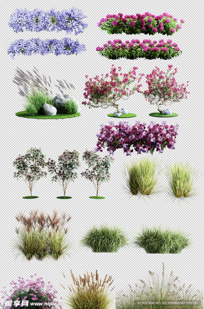 十二款绿植花草花卉合集