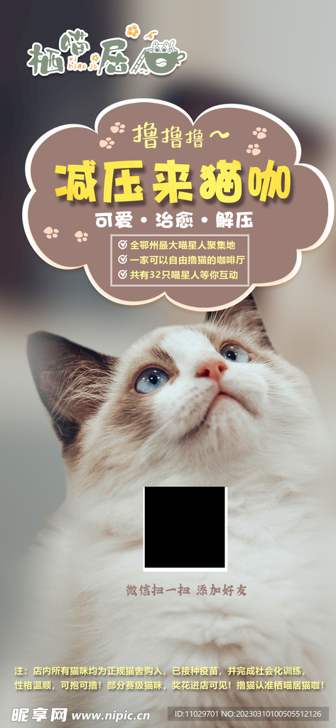 猫咖展架