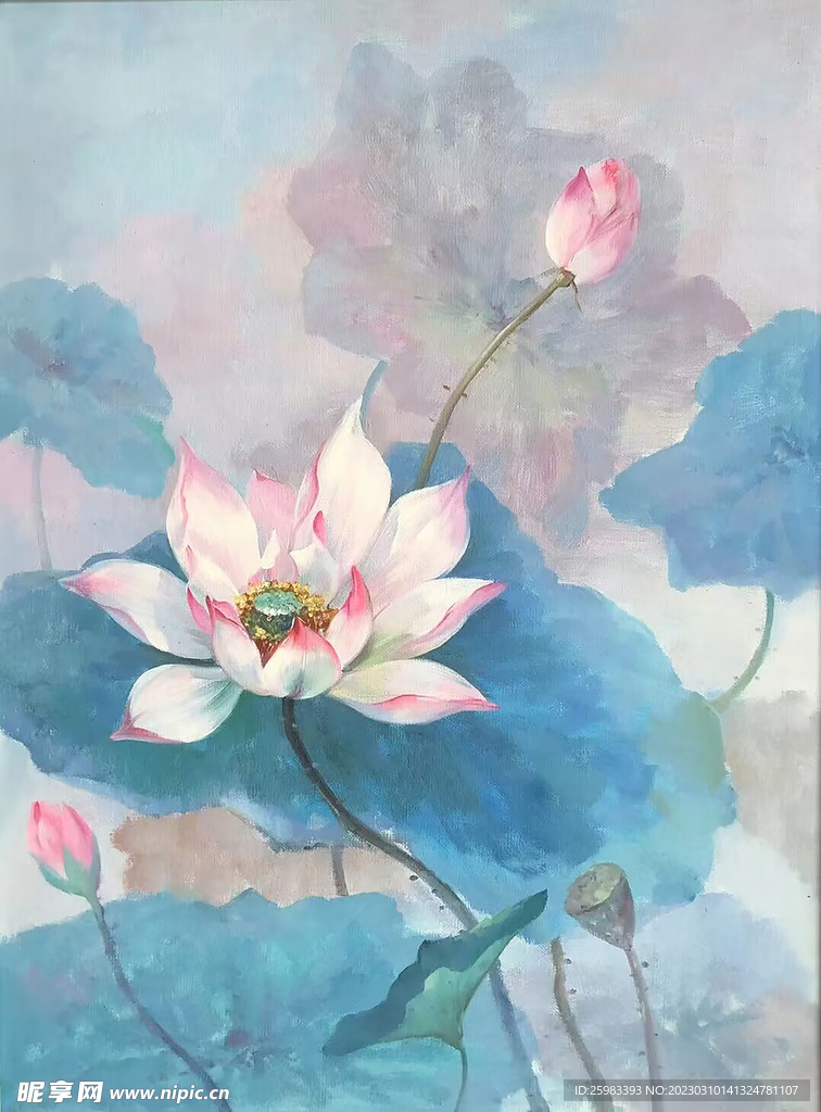 荷花