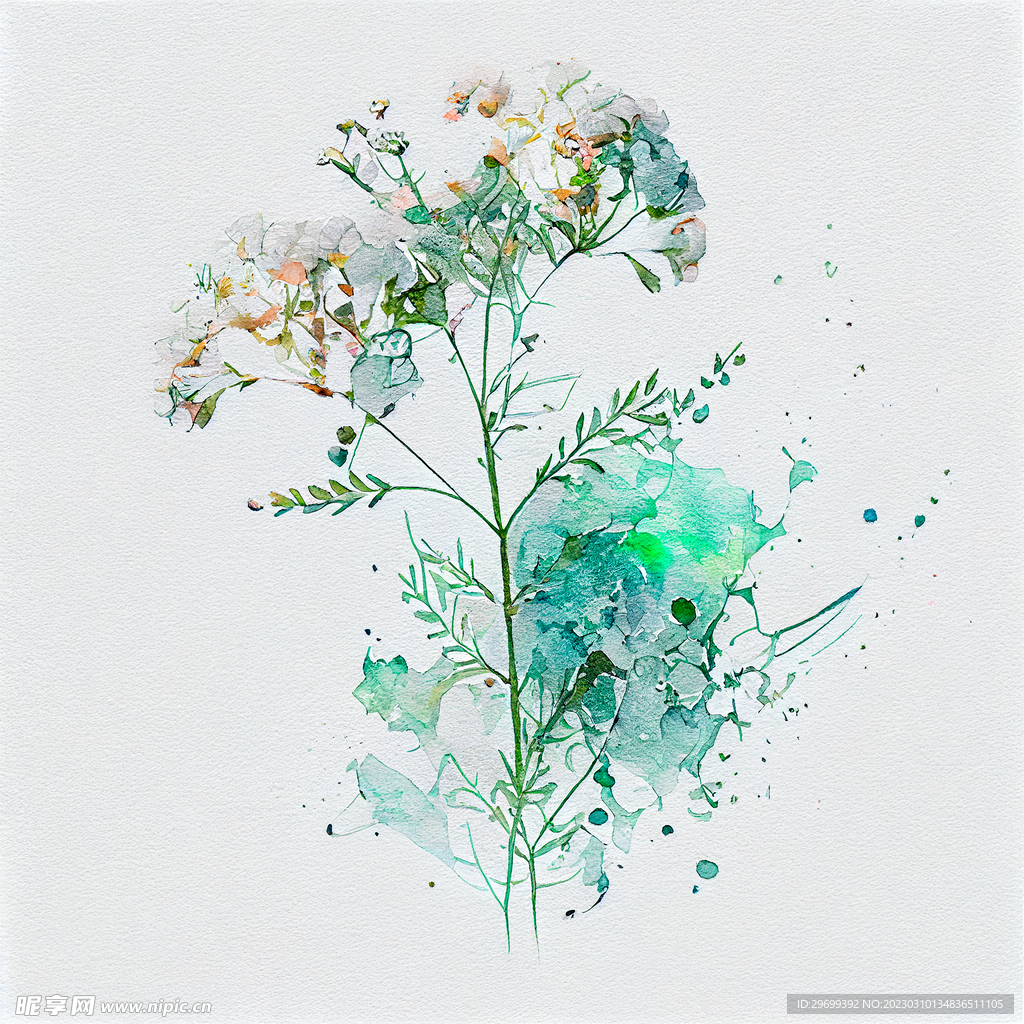 水彩花
