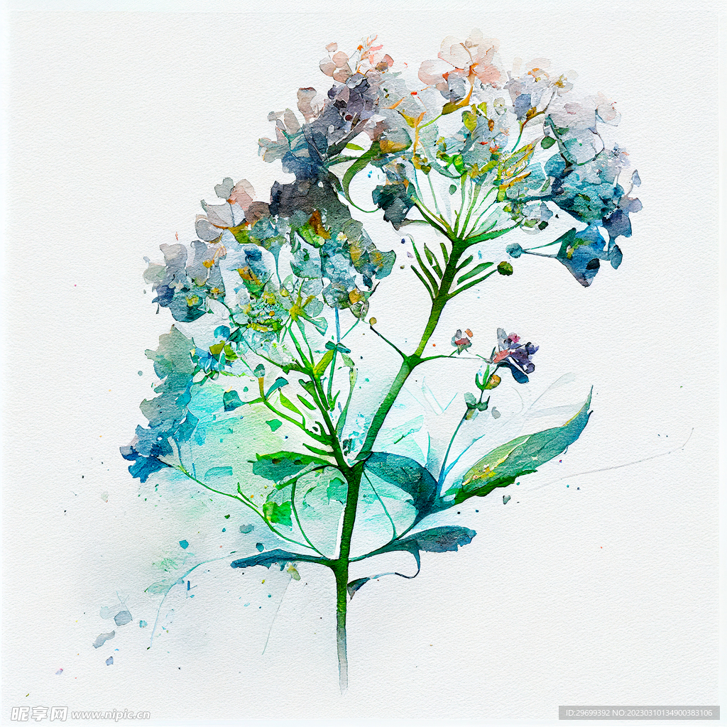 水彩花卉