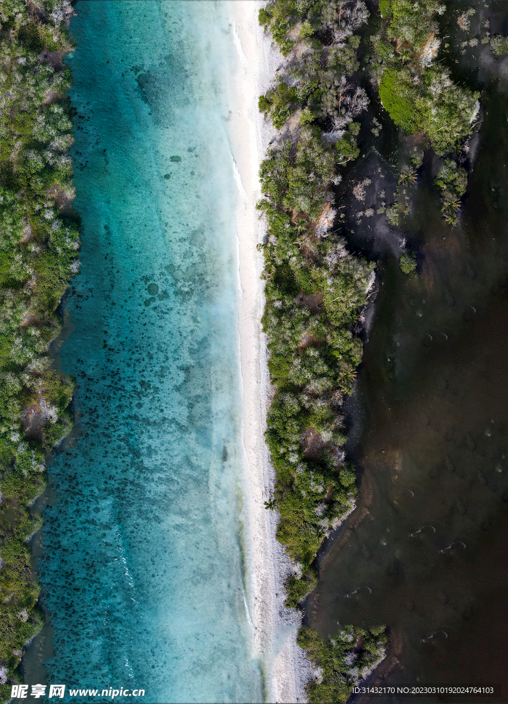 海岸